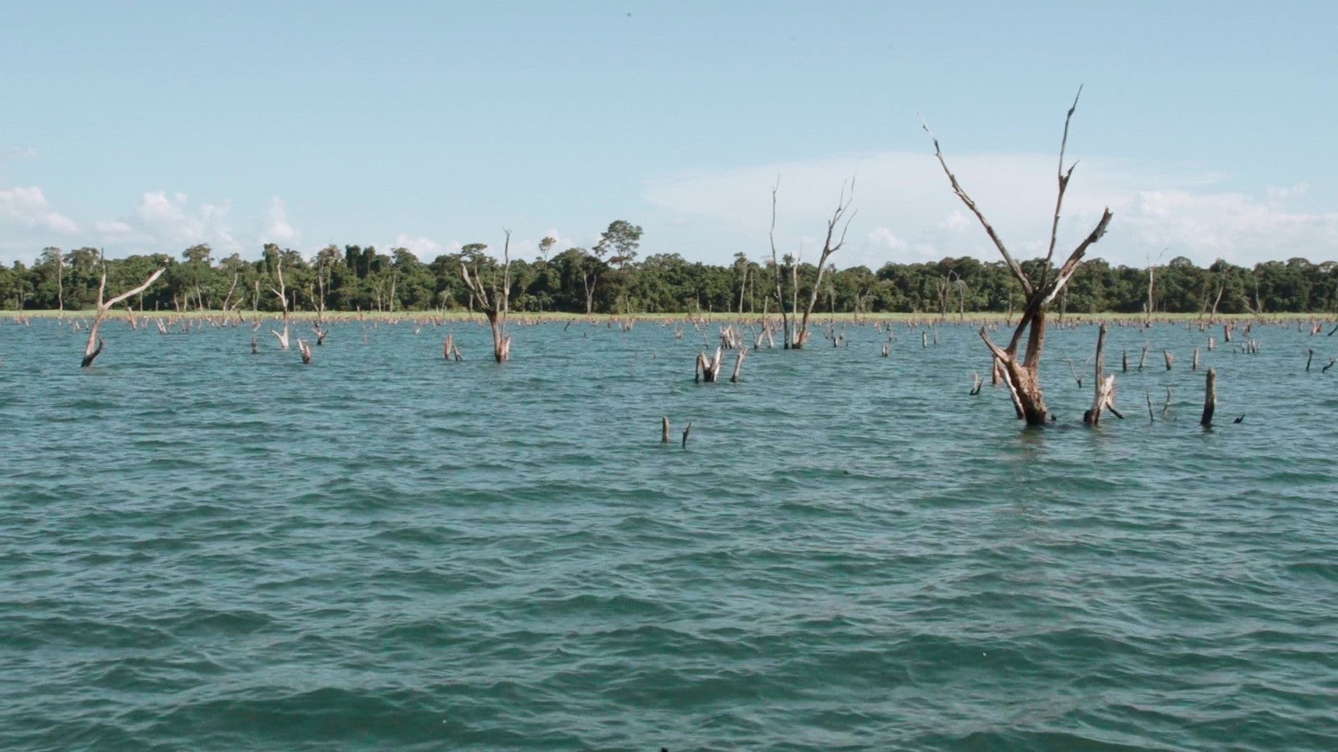 I Remember My Mom backdrop