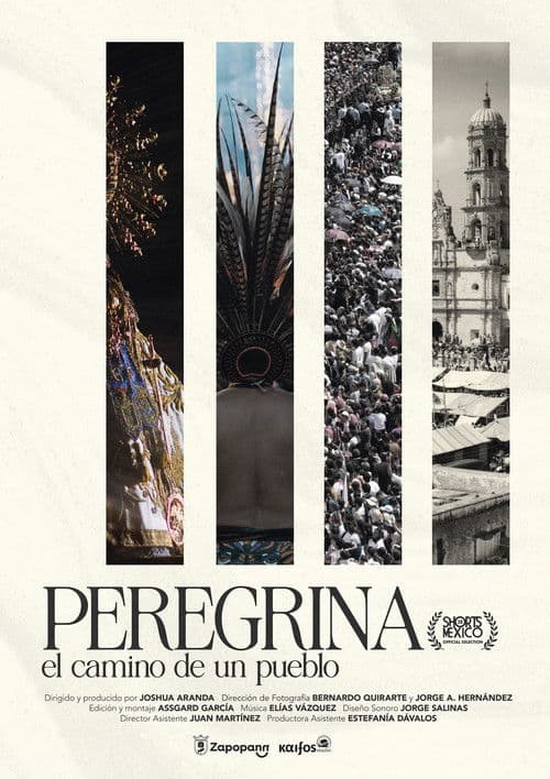 Pilgrim A people's journey