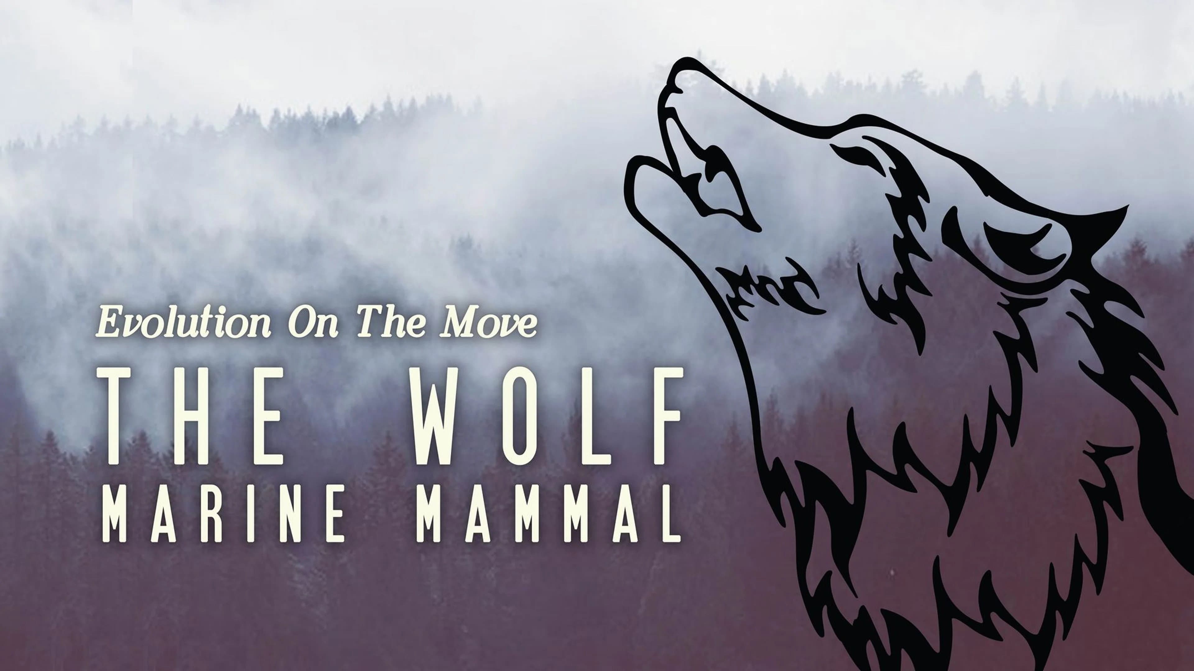 The Wolf: Marine Mammal backdrop